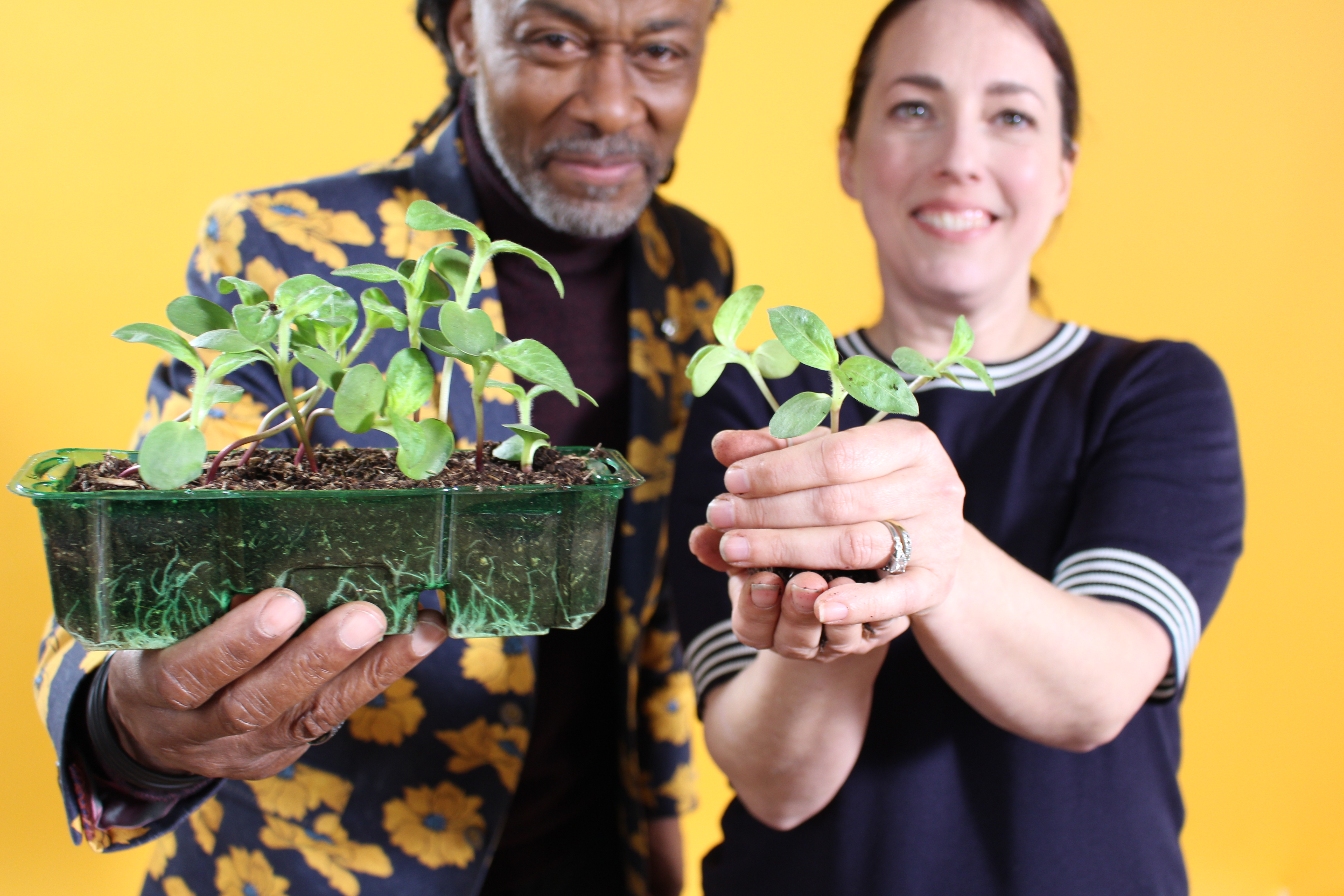 Danny Clarke and Fran Lawton smiling in front of a yellow backdrop holding seedlings to the camera. 